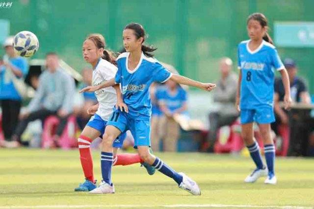 伊朗踢不踢世界杯 是一柄危险的双刃剑